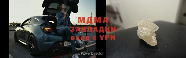 индика Козельск